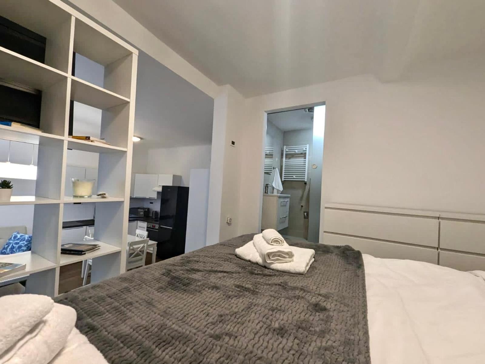Fantabulous Downtown Abode W King Bed, 65" Tv, Washer And Tumble Dryer Zagreb Exterior foto
